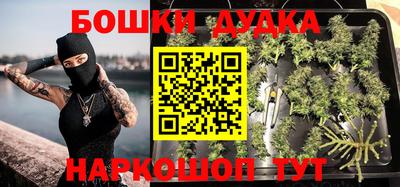 индика Будённовск