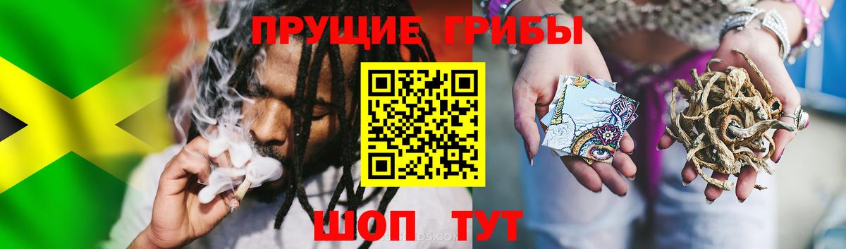 Псилоцибиновые грибы MAGIC MUSHROOMS  Галлюциногенные грибы мицелий  Вход с VPN  Прохладный 